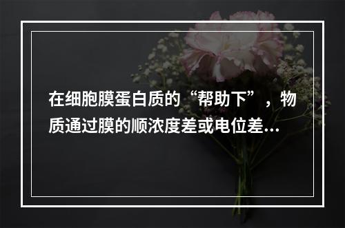 在细胞膜蛋白质的“帮助下”，物质通过膜的顺浓度差或电位差的转