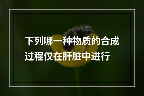 下列哪一种物质的合成过程仅在肝脏中进行