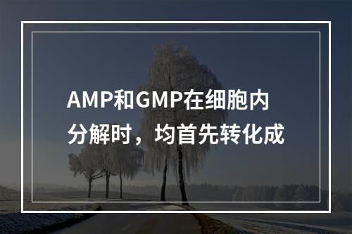 AMP和GMP在细胞内分解时，均首先转化成