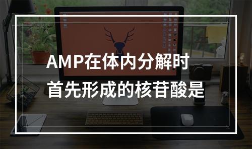 AMP在体内分解时首先形成的核苷酸是