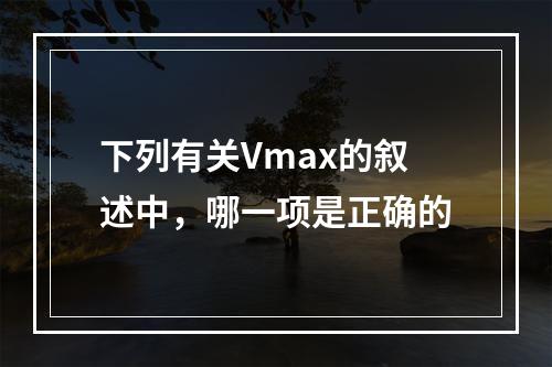 下列有关Vmax的叙述中，哪一项是正确的