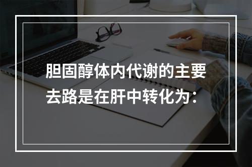 胆固醇体内代谢的主要去路是在肝中转化为：