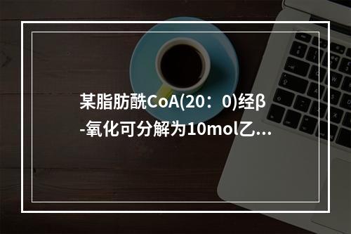 某脂肪酰CoA(20：0)经β-氧化可分解为10mol乙酰C