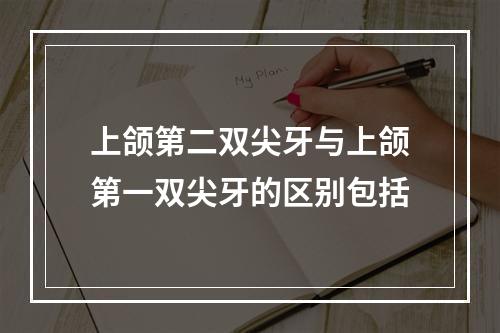 上颌第二双尖牙与上颌第一双尖牙的区别包括