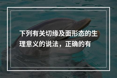 下列有关切缘及面形态的生理意义的说法，正确的有