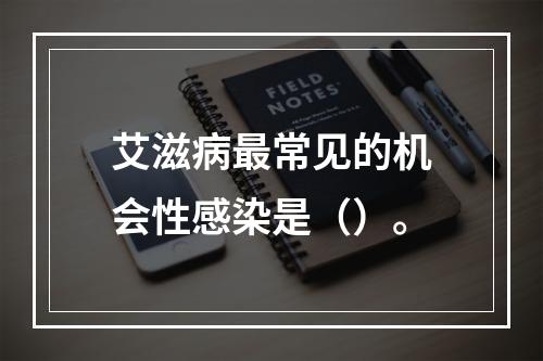 艾滋病最常见的机会性感染是（）。