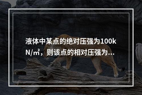 液体中某点的绝对压强为100kN/㎡，则该点的相对压强为()