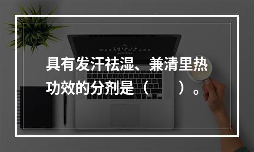 具有发汗祛湿、兼清里热功效的分剂是（　　）。