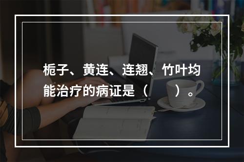 栀子、黄连、连翘、竹叶均能治疗的病证是（　　）。