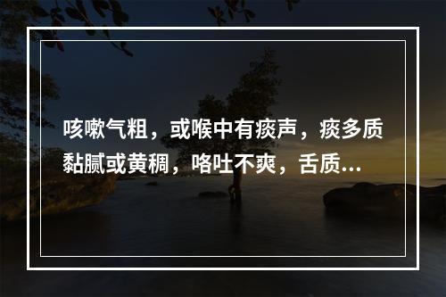 咳嗽气粗，或喉中有痰声，痰多质黏腻或黄稠，咯吐不爽，舌质红，