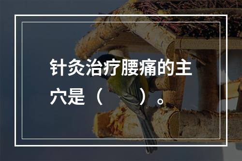 针灸治疗腰痛的主穴是（　　）。