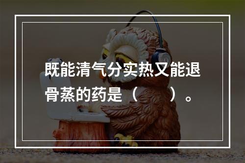 既能清气分实热又能退骨蒸的药是（　　）。