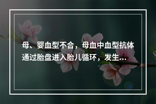 母、婴血型不合，母血中血型抗体通过胎盘进入胎儿循环，发生同种