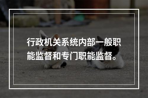 行政机关系统内部一般职能监督和专门职能监督。