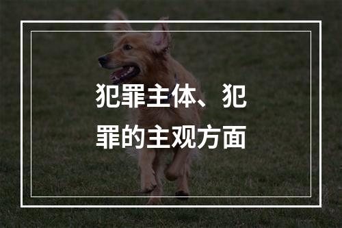 犯罪主体、犯罪的主观方面