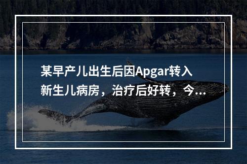 某早产儿出生后因Apgar转入新生儿病房，治疗后好转，今日医