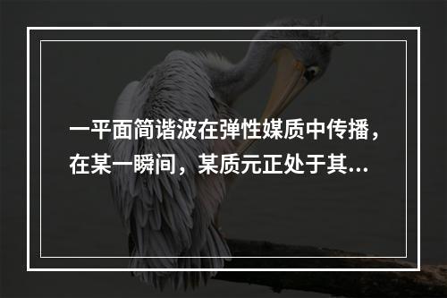 一平面简谐波在弹性媒质中传播，在某一瞬间，某质元正处于其平衡