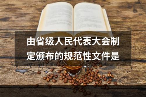 由省级人民代表大会制定颁布的规范性文件是