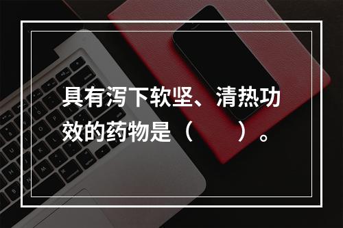 具有泻下软坚、清热功效的药物是（　　）。