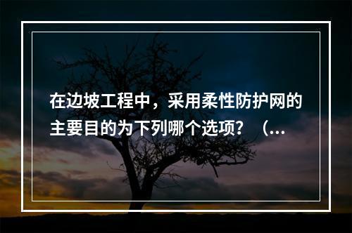 在边坡工程中，采用柔性防护网的主要目的为下列哪个选项？（　　