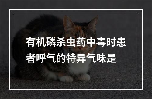 有机磷杀虫药中毒时患者呼气的特异气味是