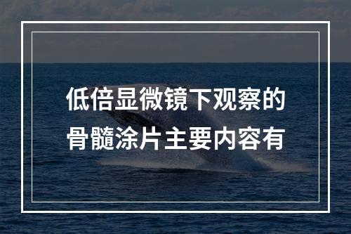 低倍显微镜下观察的骨髓涂片主要内容有