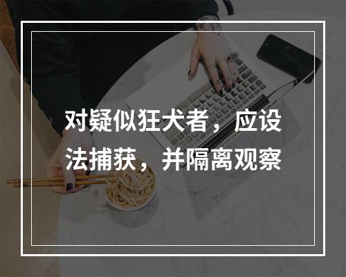 对疑似狂犬者，应设法捕获，并隔离观察