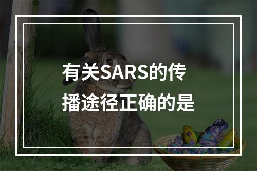 有关SARS的传播途径正确的是