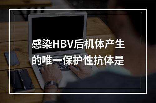 感染HBV后机体产生的唯一保护性抗体是