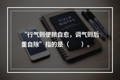 “行气则便脓自愈，调气则后重自除”指的是（　　）。