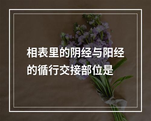 相表里的阴经与阳经的循行交接部位是