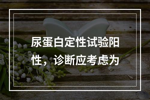 尿蛋白定性试验阳性，诊断应考虑为