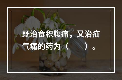 既治食积腹痛，又治疝气痛的药为（　　）。