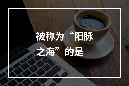 被称为“阳脉之海”的是