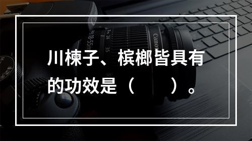 川楝子、槟榔皆具有的功效是（　　）。