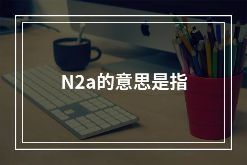 N2a的意思是指