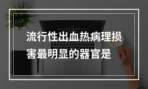 流行性出血热病理损害最明显的器官是