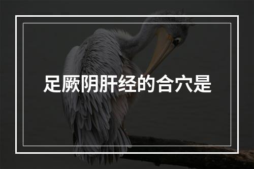 足厥阴肝经的合穴是