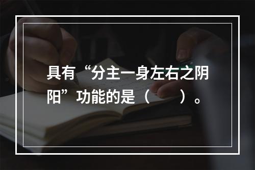 具有“分主一身左右之阴阳”功能的是（　　）。