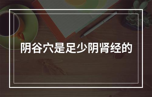 阴谷穴是足少阴肾经的