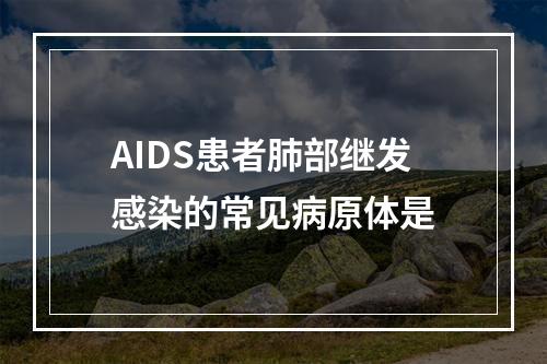 AIDS患者肺部继发感染的常见病原体是