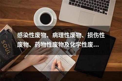 感染性废物、病理性废物、损伤性废物、药物性废物及化学性废物等