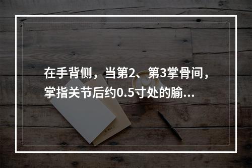 在手背侧，当第2、第3掌骨间，掌指关节后约0.5寸处的腧穴善