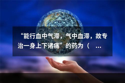 “能行血中气滞，气中血滞，故专治一身上下诸痛”的药为（　　