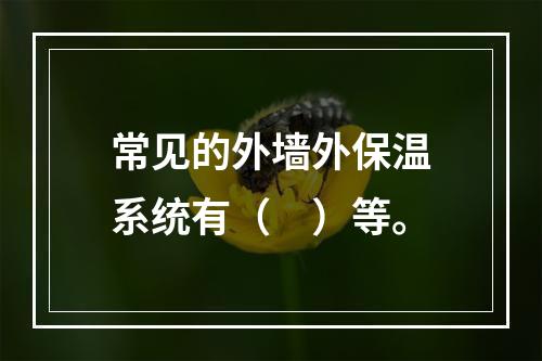 常见的外墙外保温系统有（　）等。