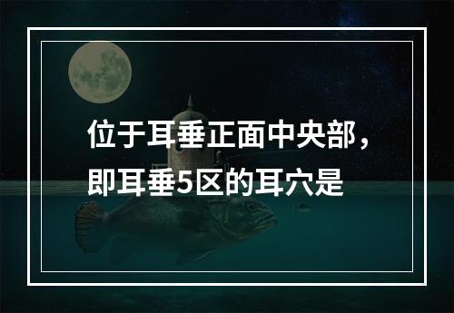 位于耳垂正面中央部，即耳垂5区的耳穴是