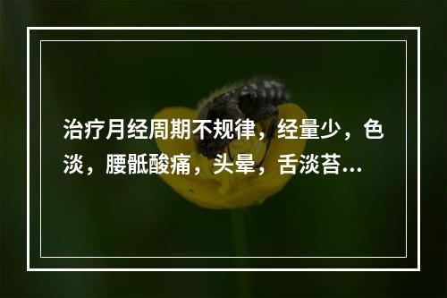 治疗月经周期不规律，经量少，色淡，腰骶酸痛，头晕，舌淡苔白，