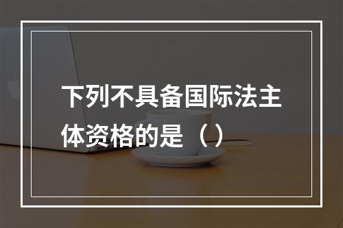 下列不具备国际法主体资格的是（ ）