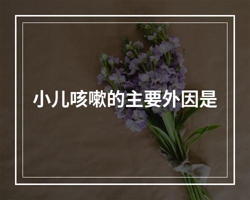 小儿咳嗽的主要外因是