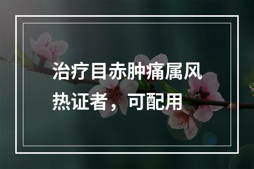 治疗目赤肿痛属风热证者，可配用